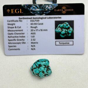 Certified Turquoise Nugget